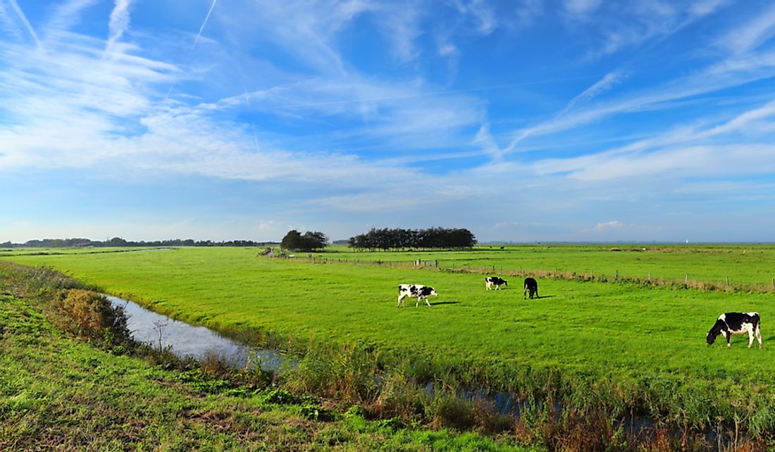 Water meadows are beneficial for livestock.