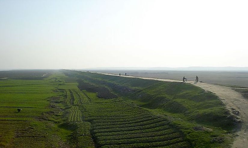 Rice fields in North Korea.