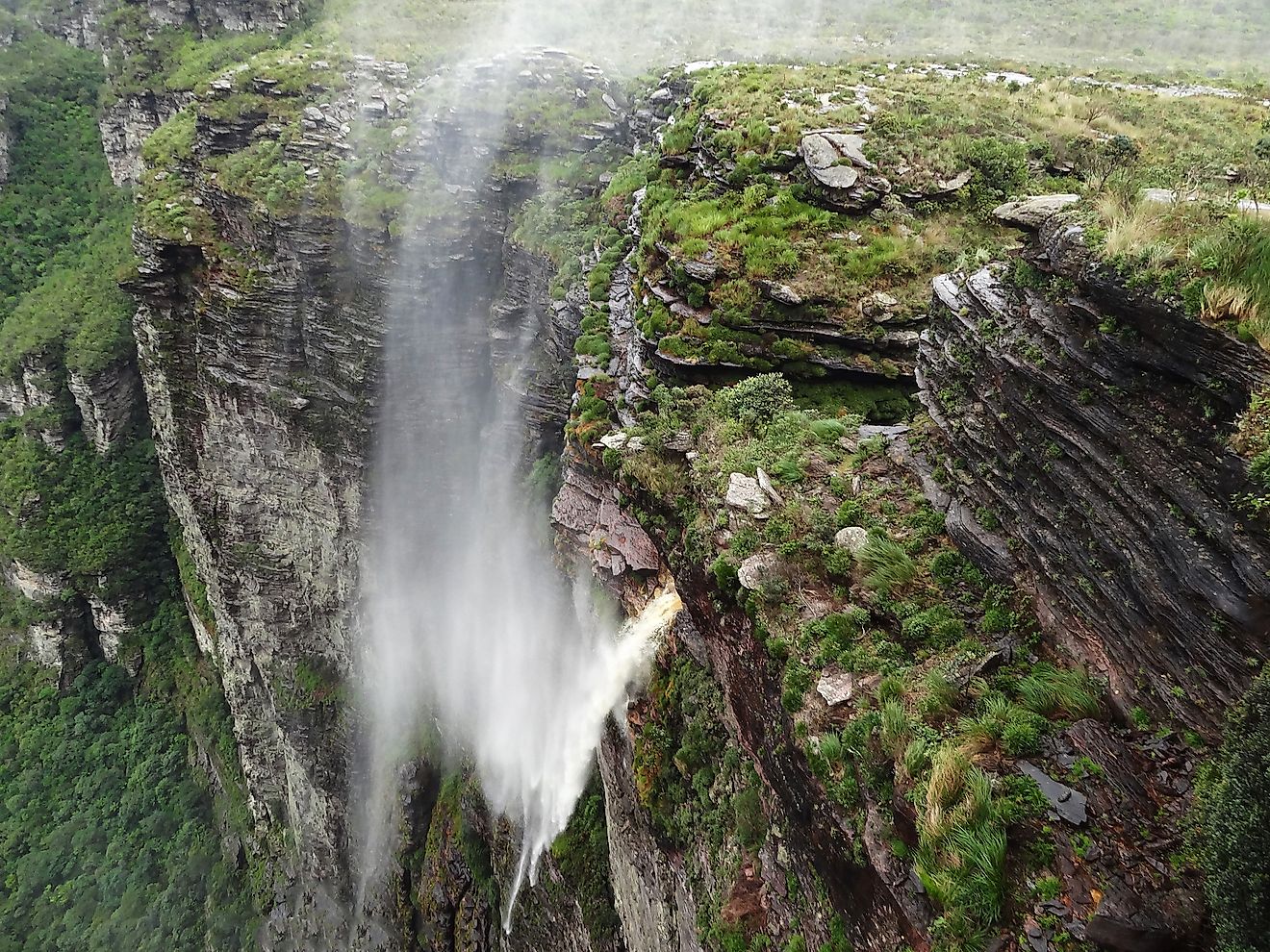 Cachoeira da Fumaça (Smoke Waterfall) reversed by the wind in Chapada Diamantina National Park, Brazil. Image credit: Larissa Chilanti/Shutterstock.com