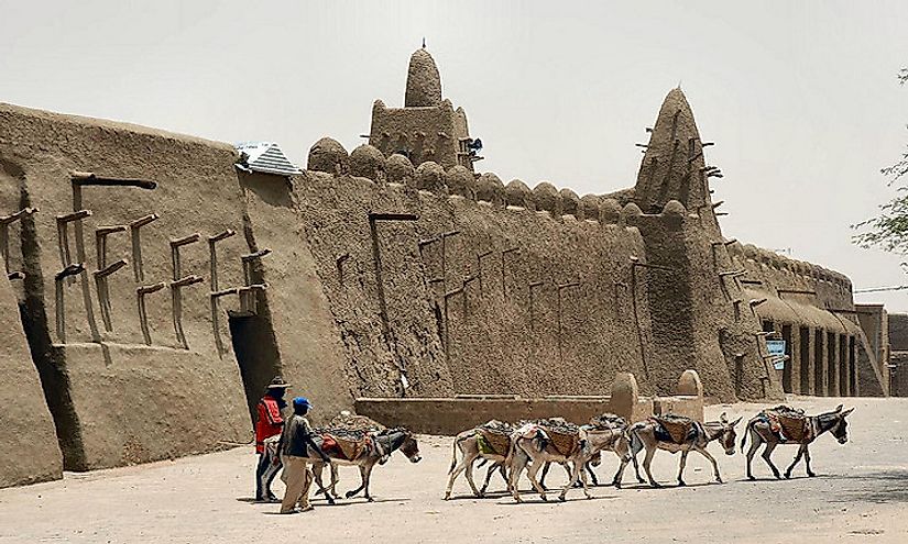 Donkeys in Timbuktu are the preferred method of transport.
