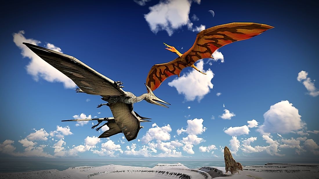 A 3D rendering of what pterodactyls may have looked like. 
