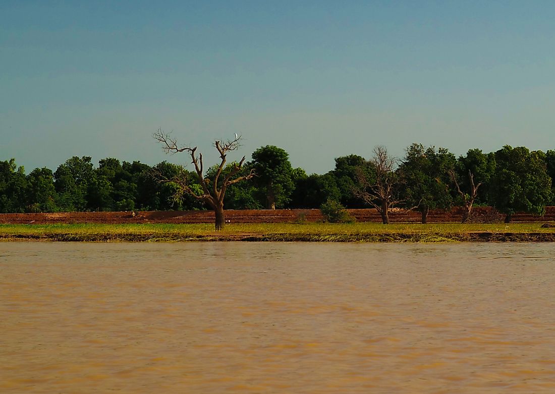 The Niger River near Niamey. 