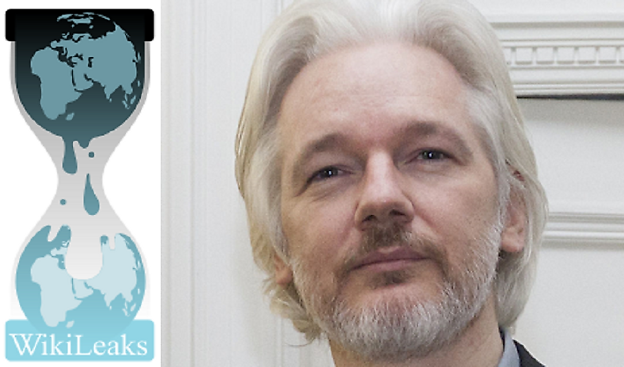 The WikiLeaks logo and one of the most important people in its early history, Julian Assange.