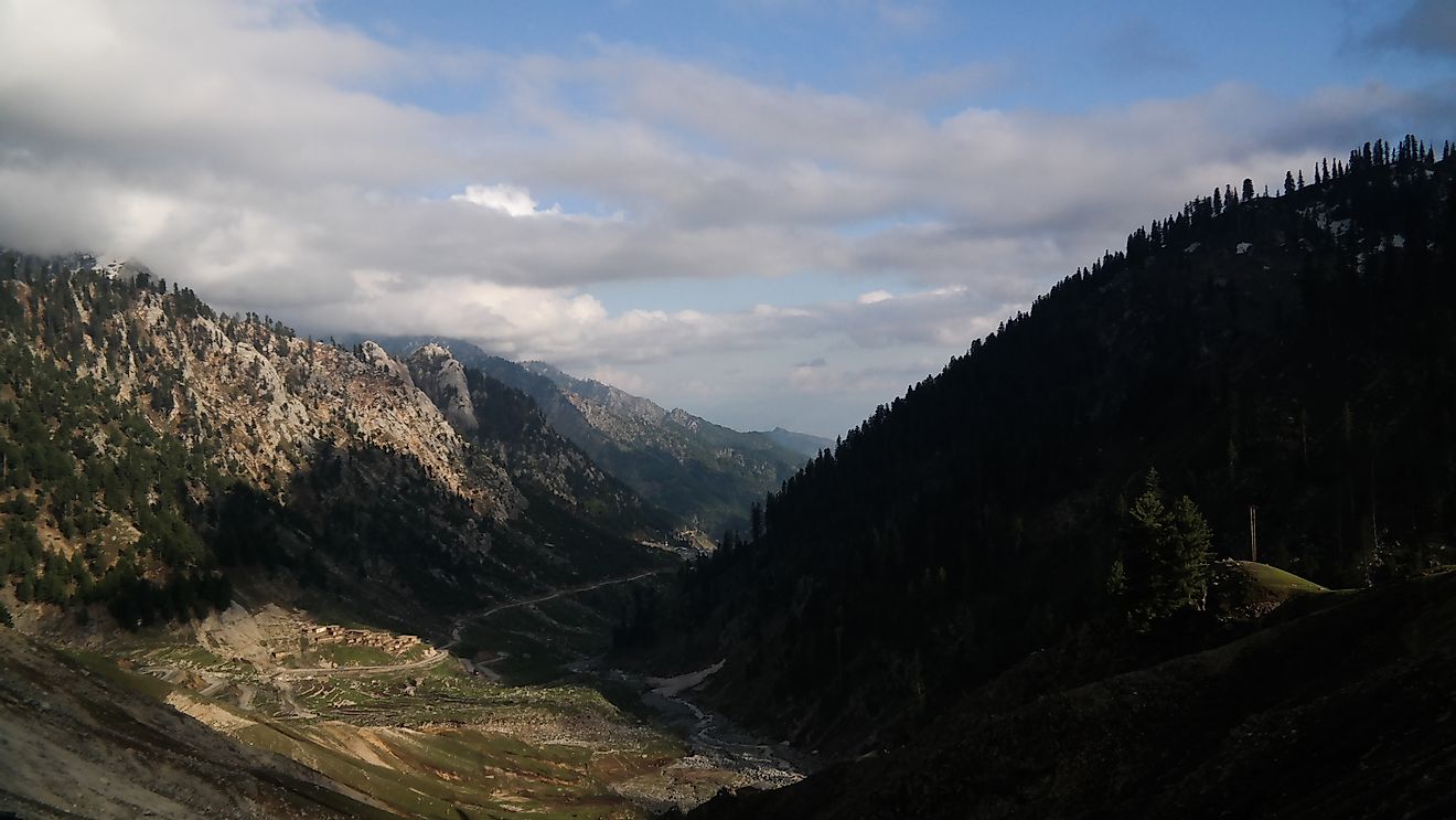 The mountains and valleys of Pakistan provide habitats for amphibians. 