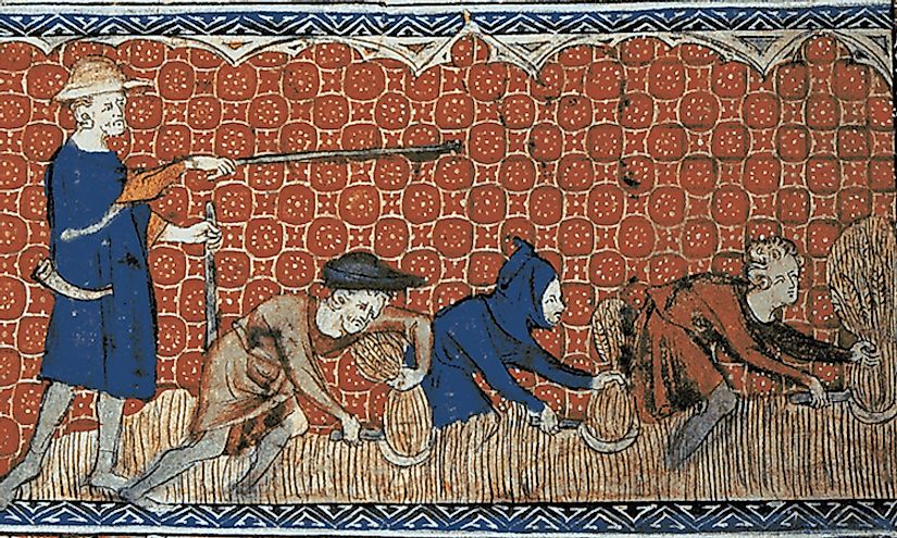 Depiction of socage on the royal demesne in feudal England, c. 1310