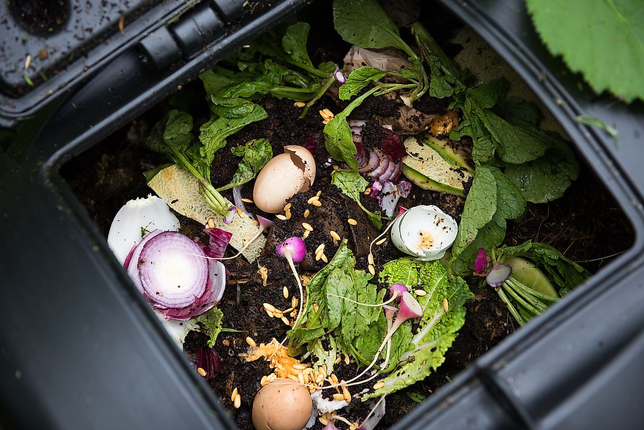 Compost Bin with Food Scraps and Grass Cuttings. Image credit: Anna Hoychuk/Shutterstock.com