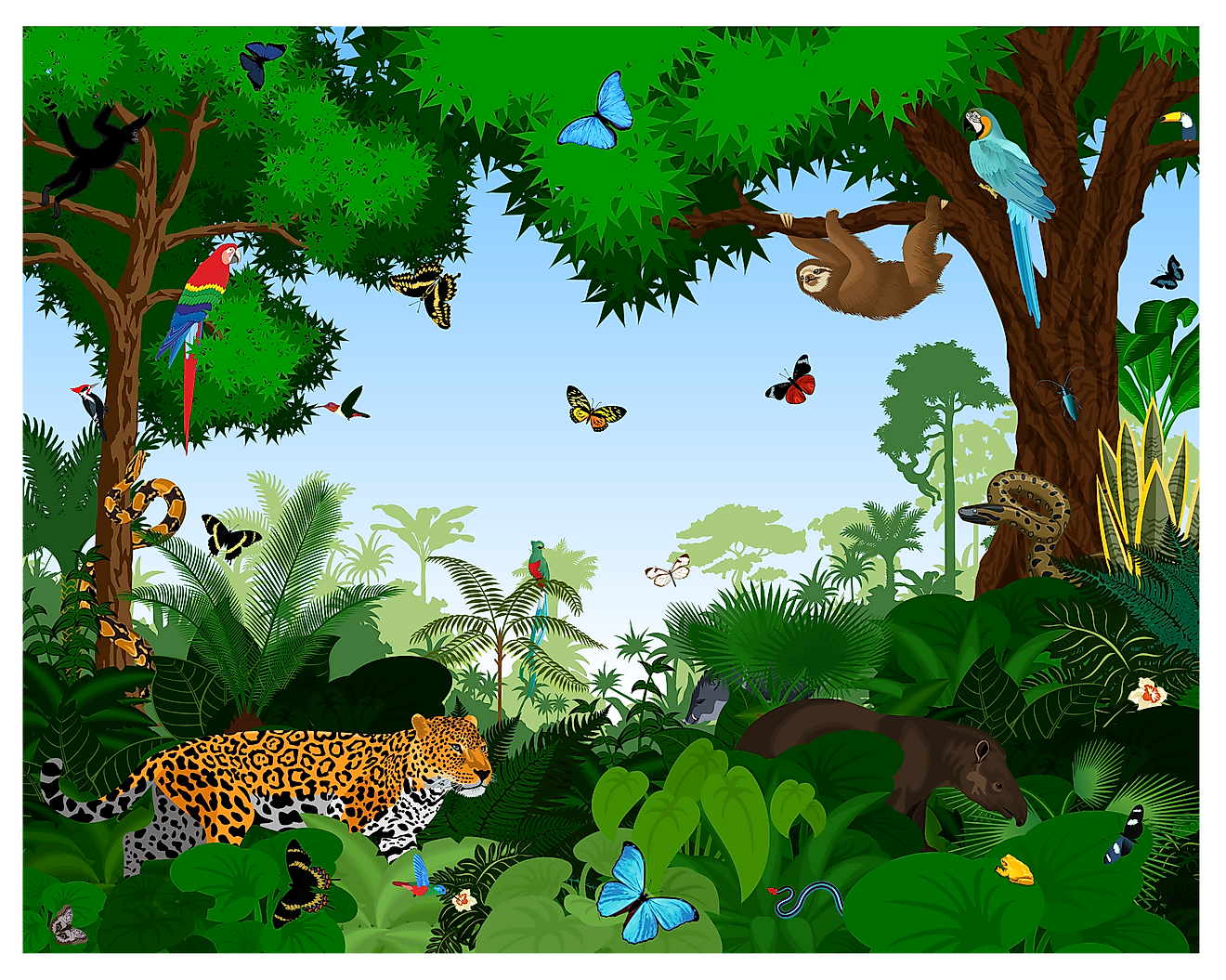 A wide variety of habitats across the world serve as home species adapted to living in such habitats.