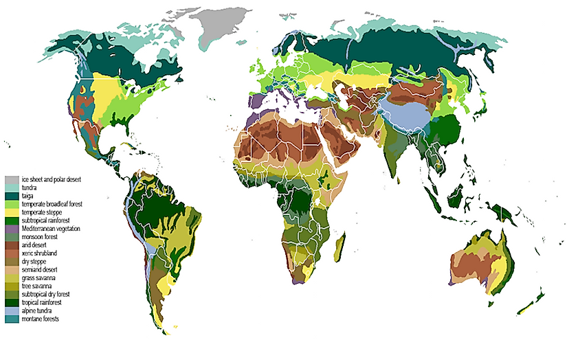 The main biomes in the world. 