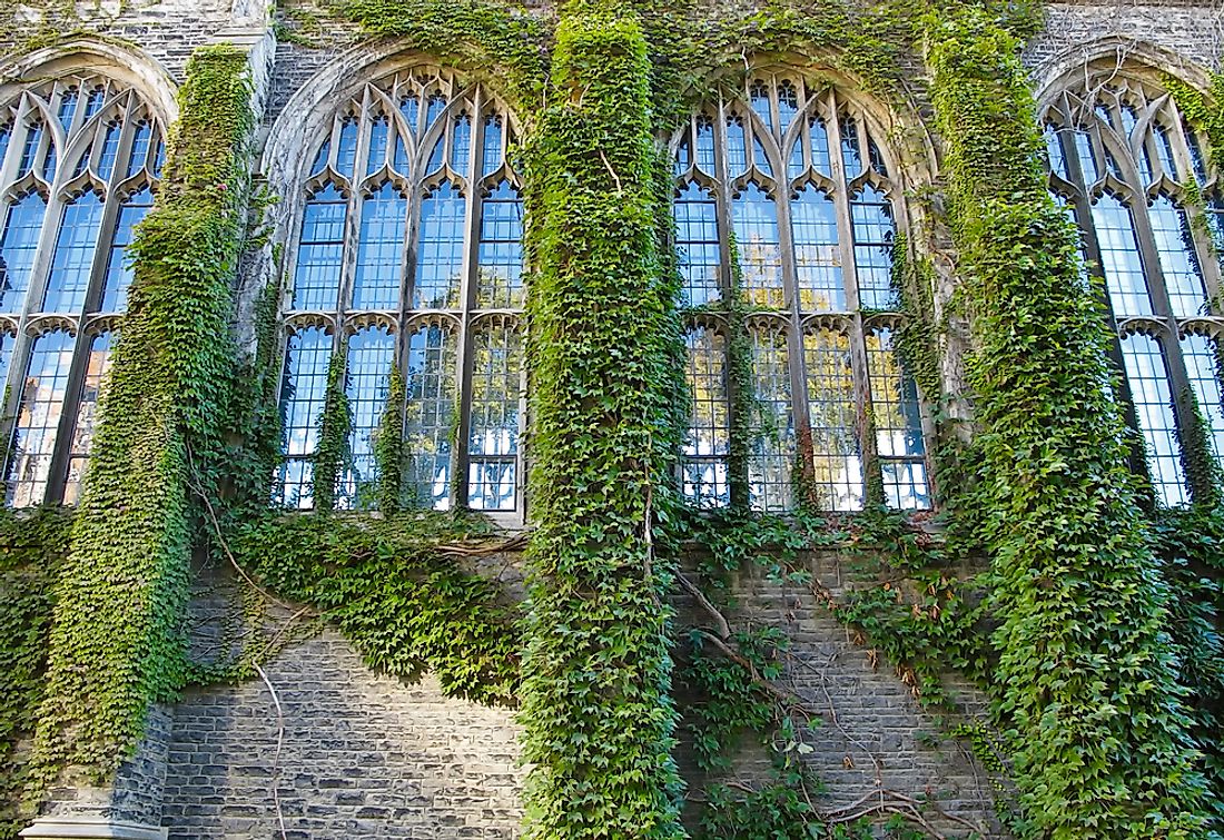 The name of the ivy league originates from the appearance of ivy on old educational buildings. 