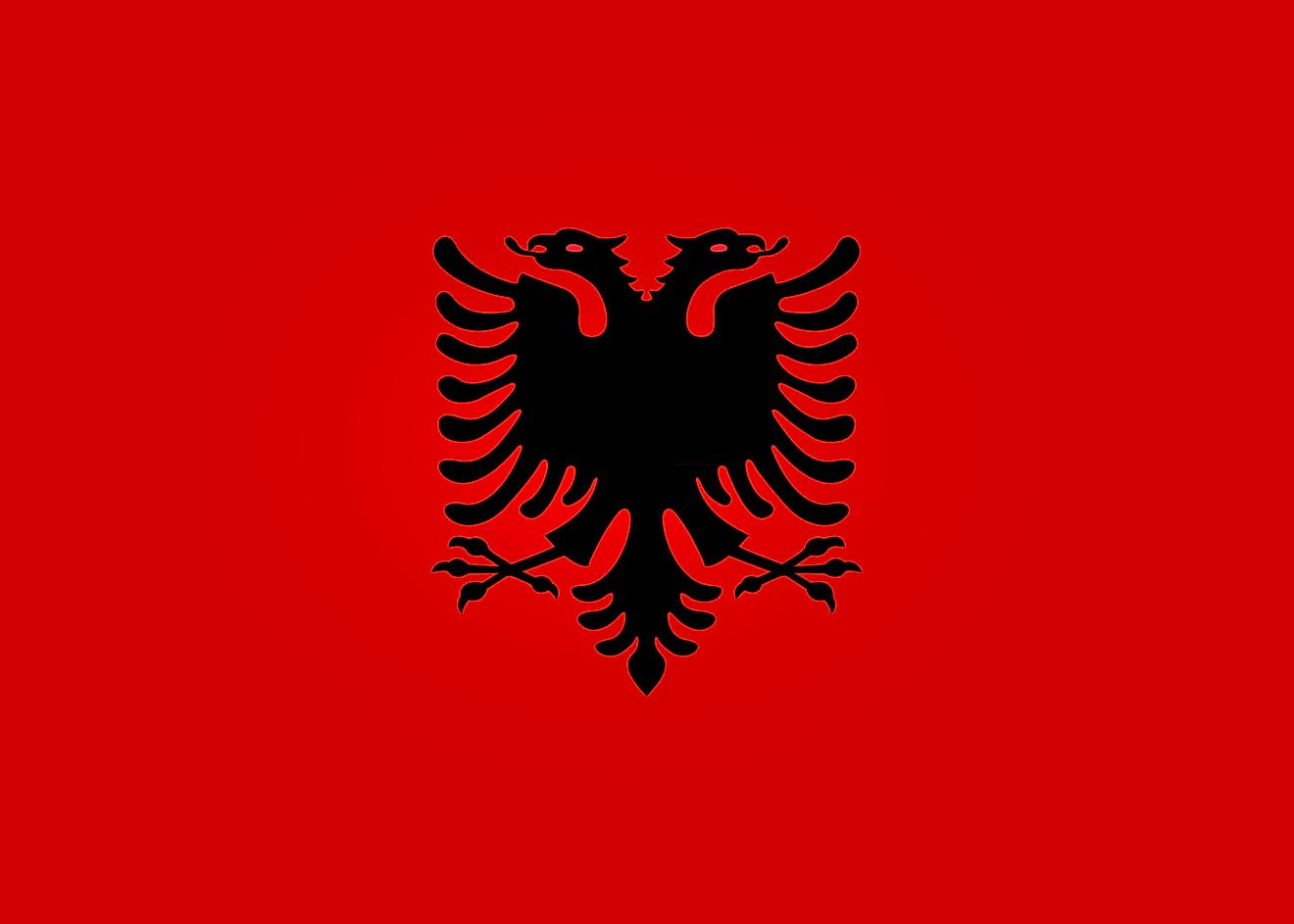 The flag of Albania famously features an eagle. 