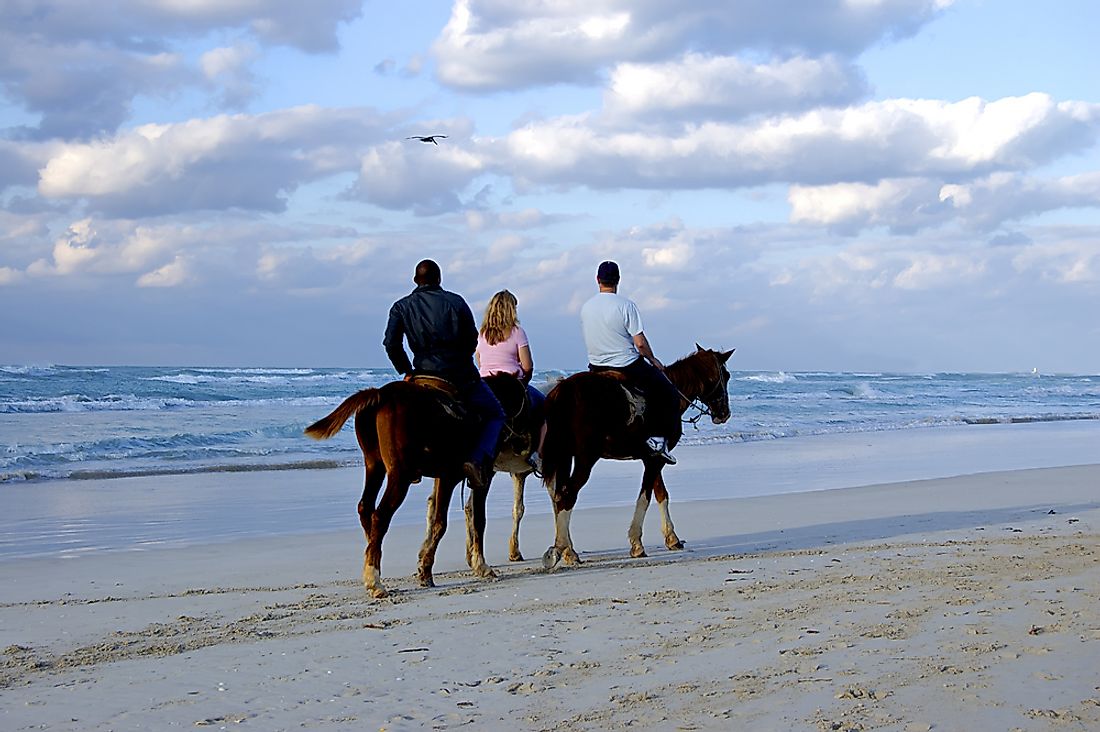 Horsesback riding on the beach in Hawaii. 