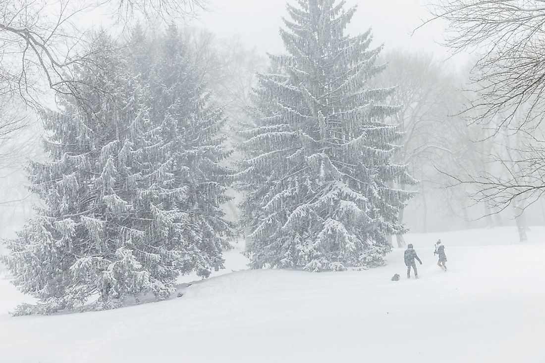 New York's Central Park under heavy snowfall from a weather bomb. Editorial credit: lev radin / Shutterstock.com