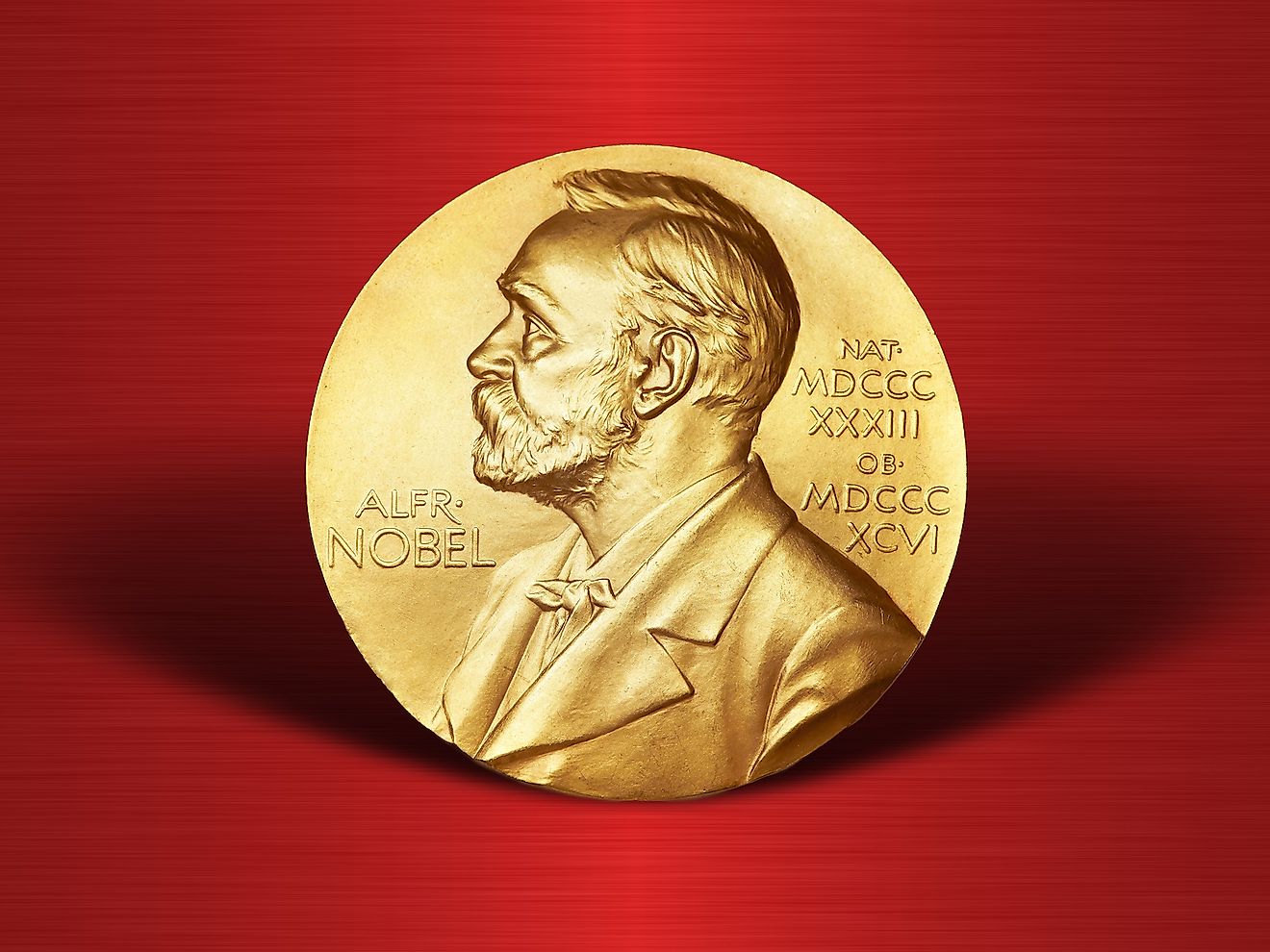 The Nobel Prize. Image credit: Paramonov Alexander/Shutterstock.com