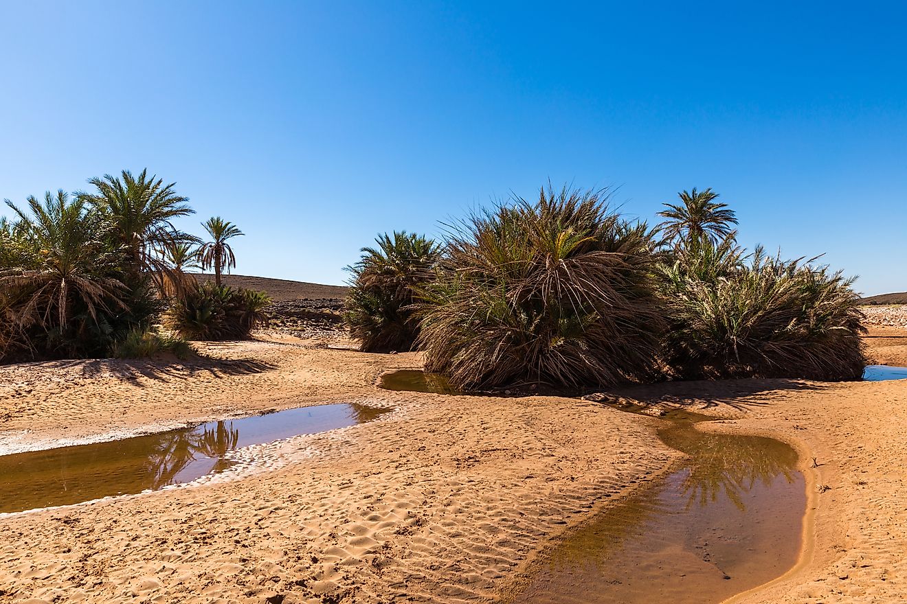 Water is one of the rarest resources in a desert. Image credit: Mikhail Priakhin/Shutterstock.com