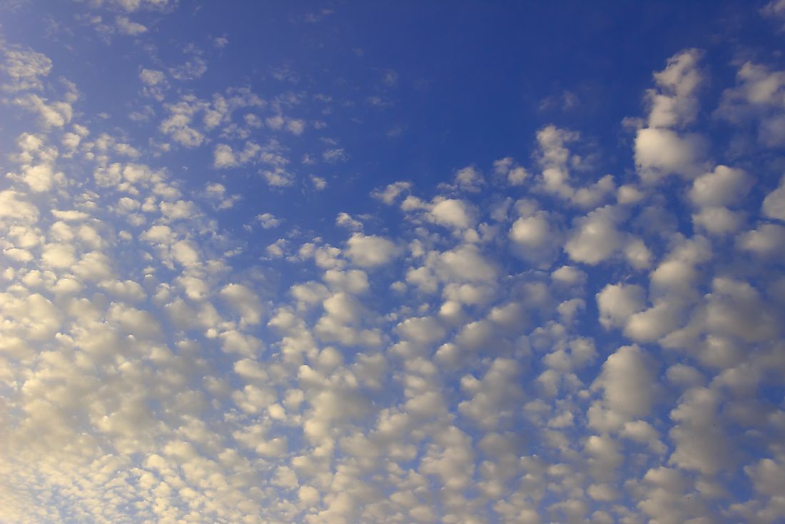 Cirrocumulus clouds. 