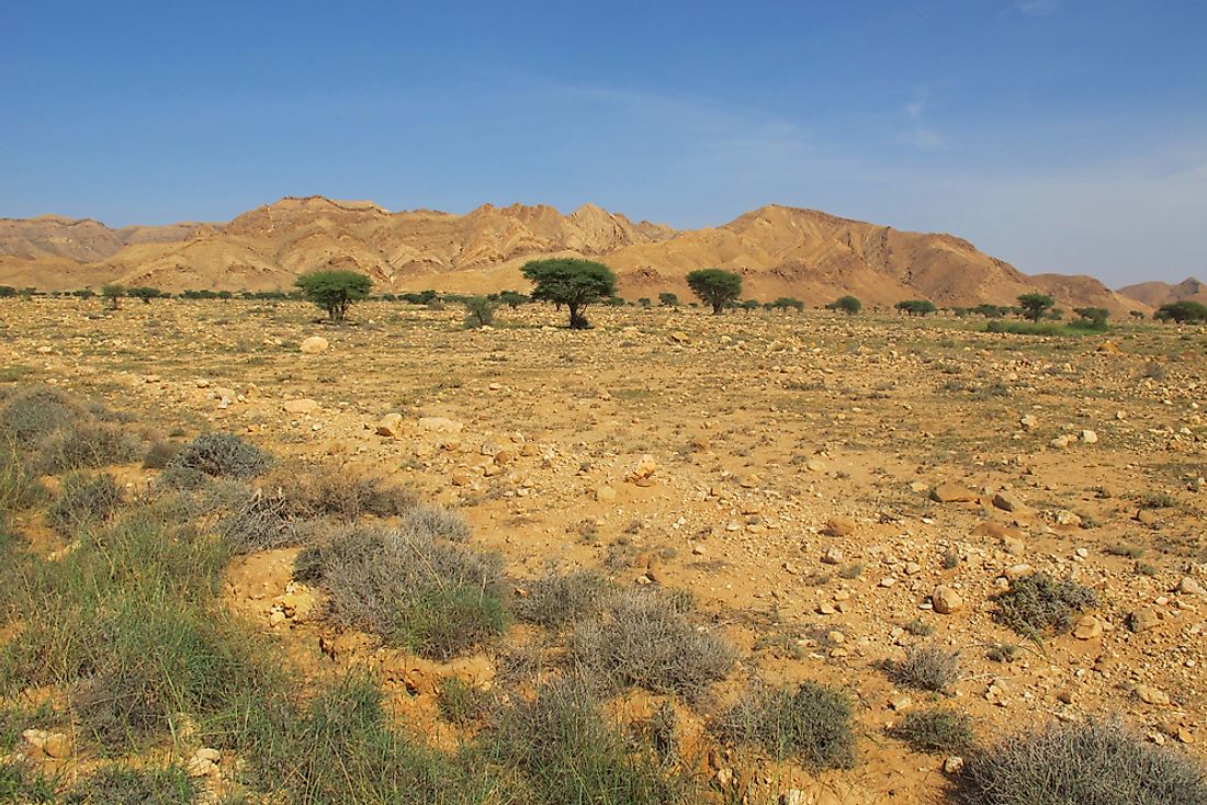 The landscape of Bou-Hedma National Park in Tunisia. 