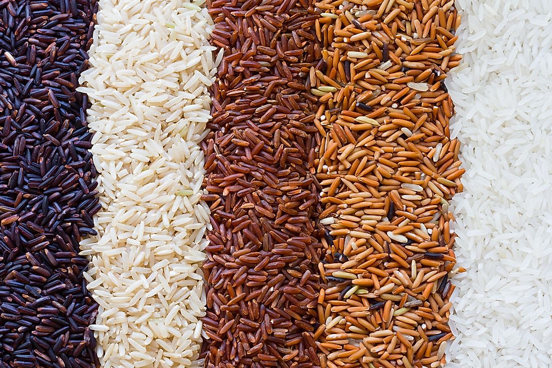 Rice comes in several varieties. 