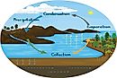 What Is The Water (Hydrologic) Cycle?