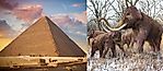Did Woolly Mammoths Still Roam Parts Of Earth When The Great Pyramids Were Built?