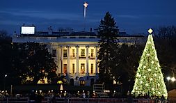 Which American President Banned Christmas Trees in the White House?