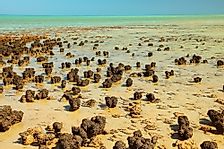 Shark Bay: A UNESCO World Heritage Site In Australia