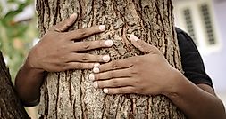 By Hugging Trees, Communities In India Teach That Real Power Lies With The People