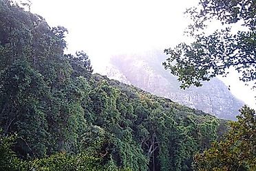 20 Biggest City Parks In The World