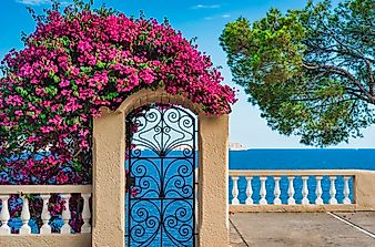 What is a Mediterranean Climate?
