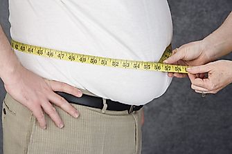 29 Most Obese Countries In The World