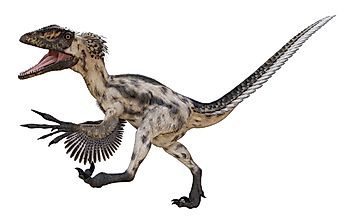 Deinonychus Facts: Extinct Animals of the World