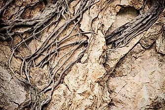 What is Mechanical Weathering?