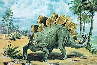 Stegosaurus Facts: Extinct Animals of the World
