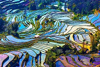 The Awe-Inspiring Beauty of Rice Terraces