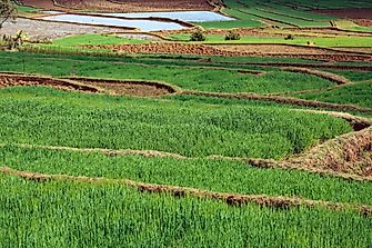 The Most Arable Countries Worldwide