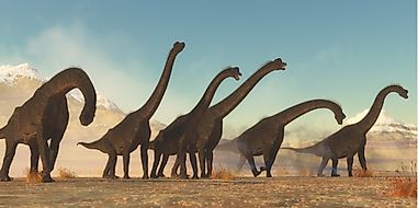Brachiosaurus Facts: Extinct Animals of the World