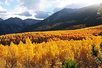 The Highest Peaks of the Rocky Mountains