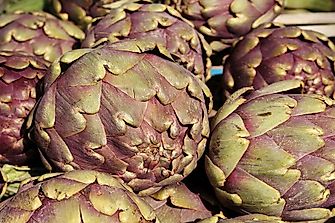 The Top 10 Producers Of Artichokes In The World