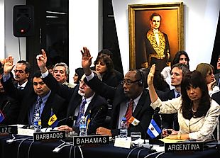 The Organization Of American States (OAS)