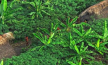 The Uncontacted Peoples Of The World: Mystery And History Surrounding Them