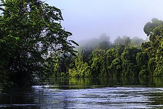 The 5 Least Populated Countries Of South America