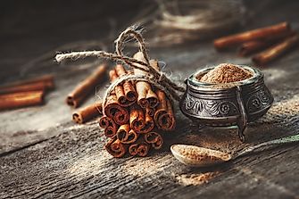 World's Top Cinnamon Producing Countries