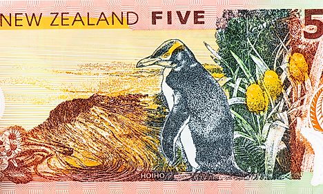  New Zealand 5 dollars 2014 Banknotes