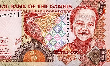 Portrait from Gambia 5 dalasis 2006 Banknotes.