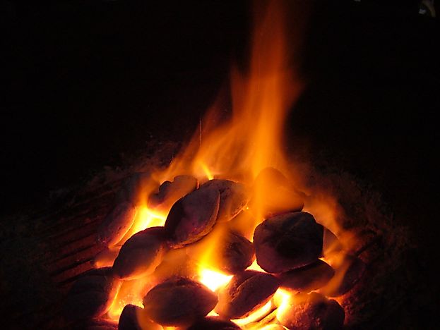 12 Countries Predominately Burning Solid Fuels For Energy