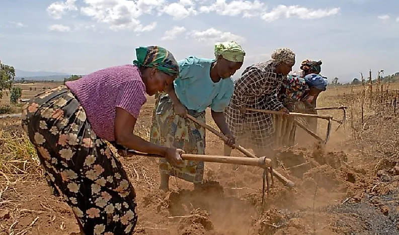 Largest Ethnic Groups In Kenya