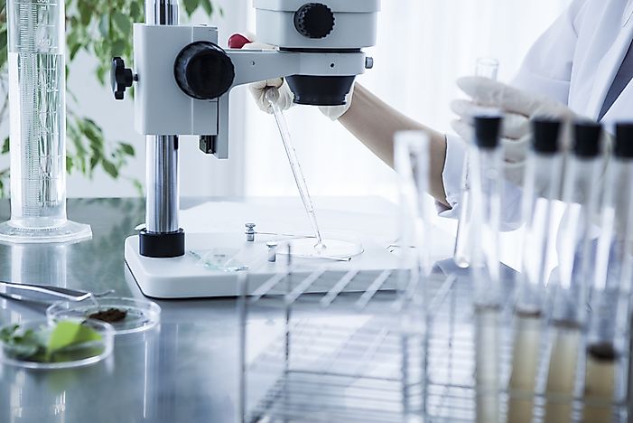 Male Fertility Declining Throughout the Western World
