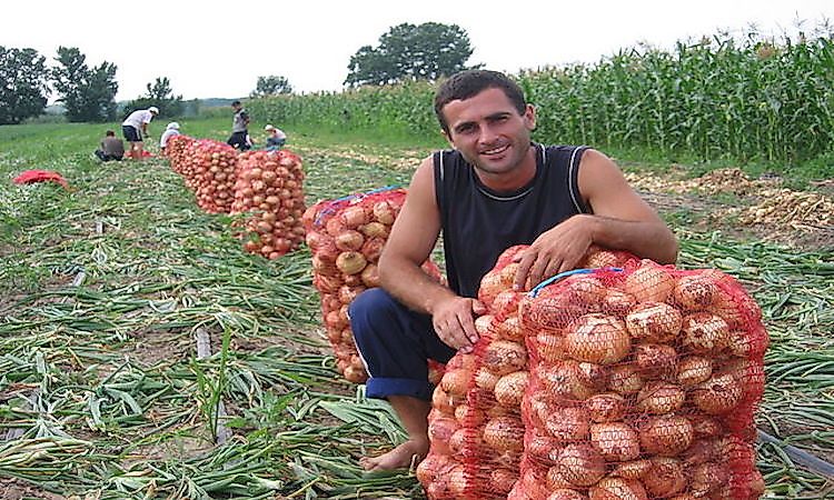 #1 Moldova -