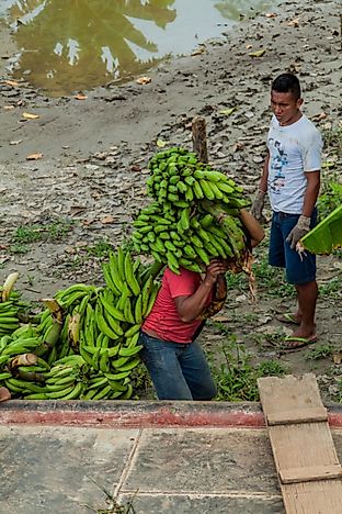 #8 Peru - 61.65 Million Pounds Imported