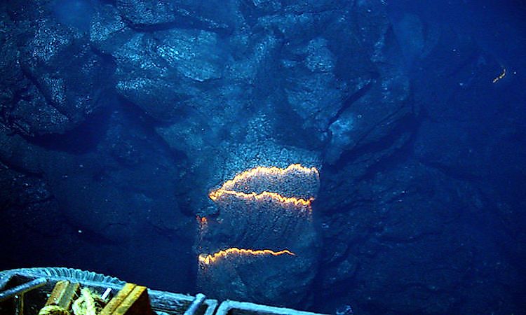 #4 Mysteries Of The Deep Sea -