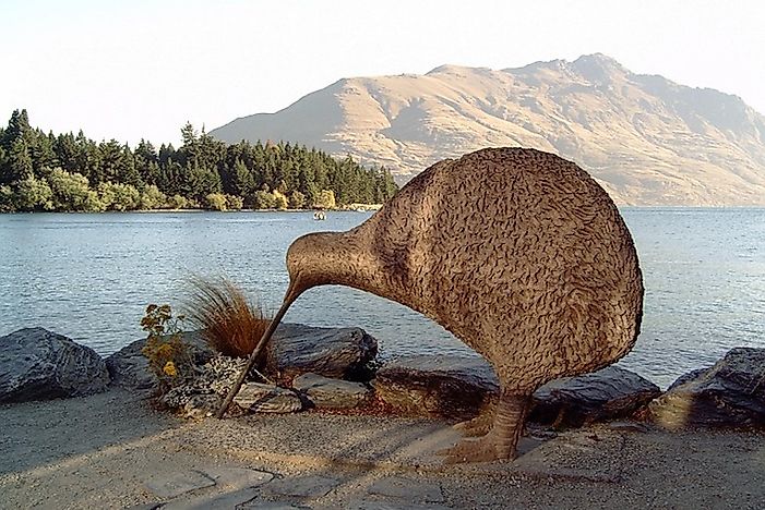 How Many Types Of Kiwis Live In New Zealand?